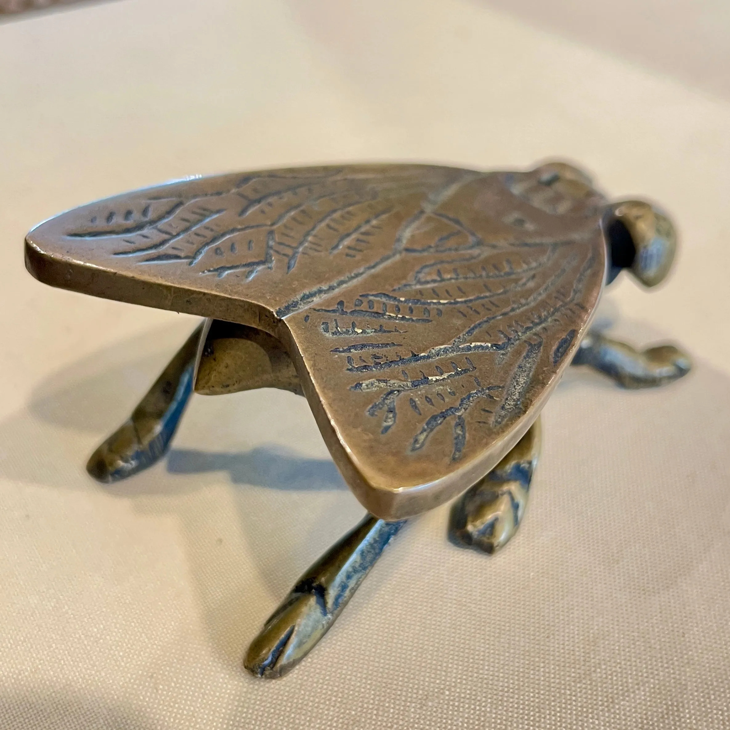 Vintage French Brass Insect Box