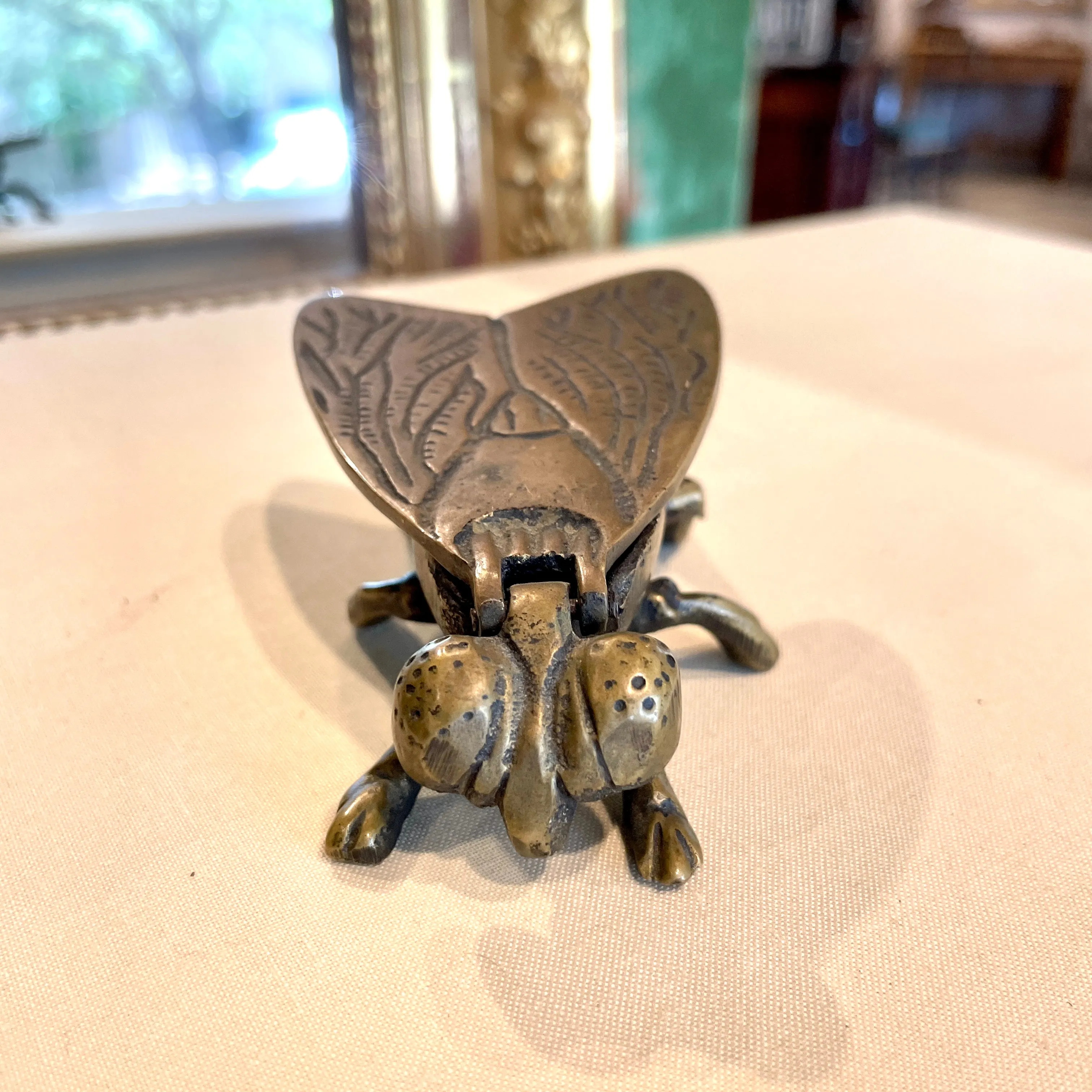 Vintage French Brass Insect Box
