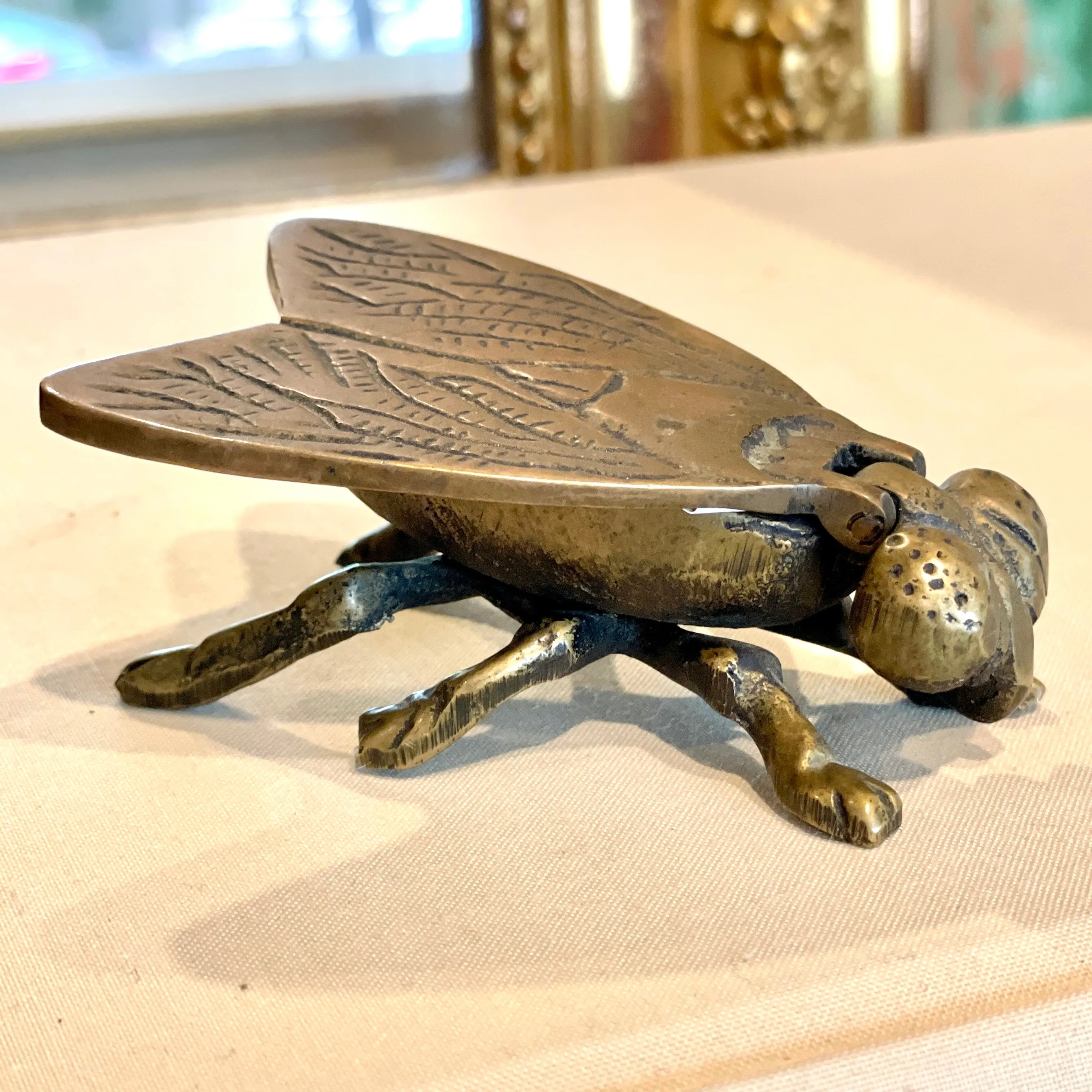 Vintage French Brass Insect Box