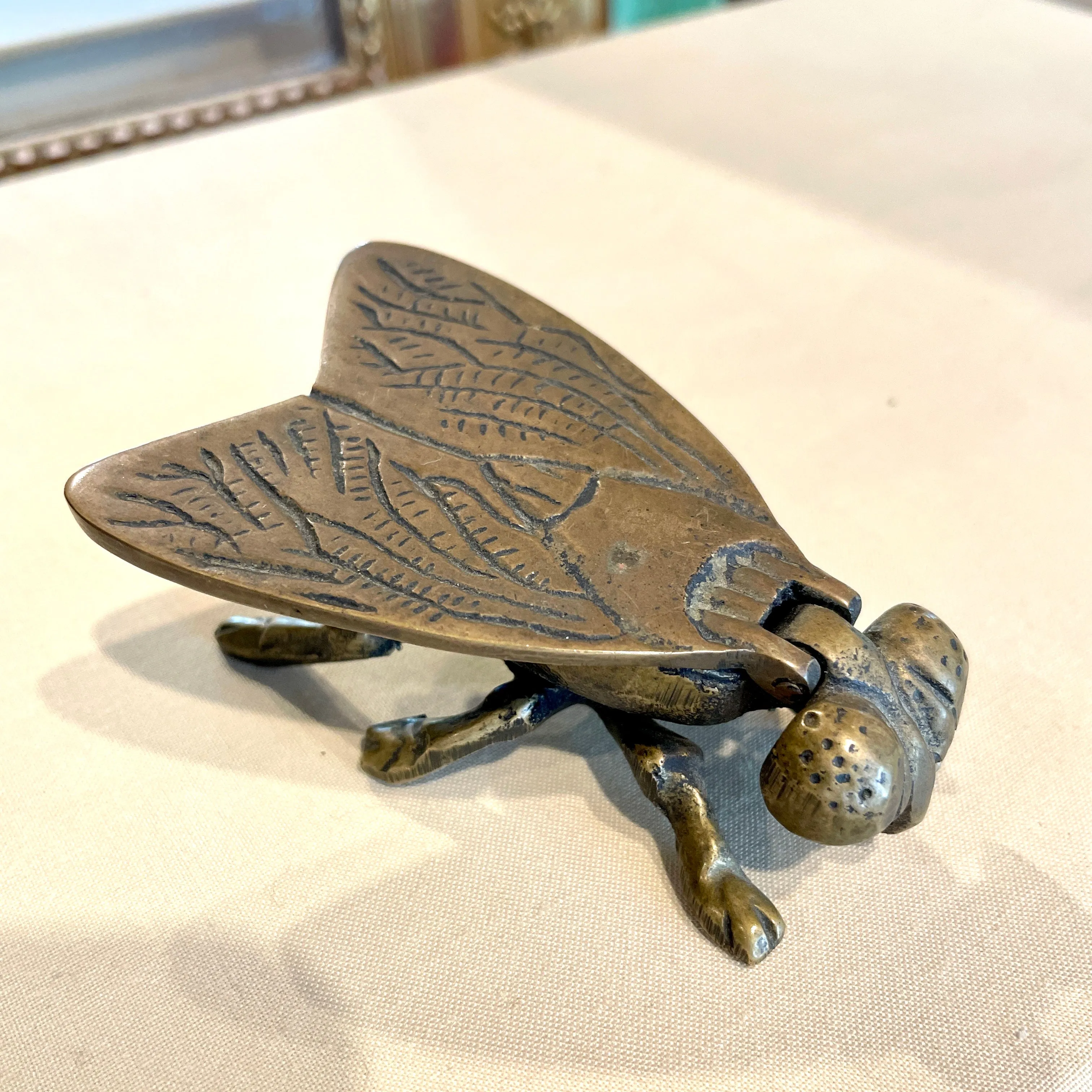 Vintage French Brass Insect Box