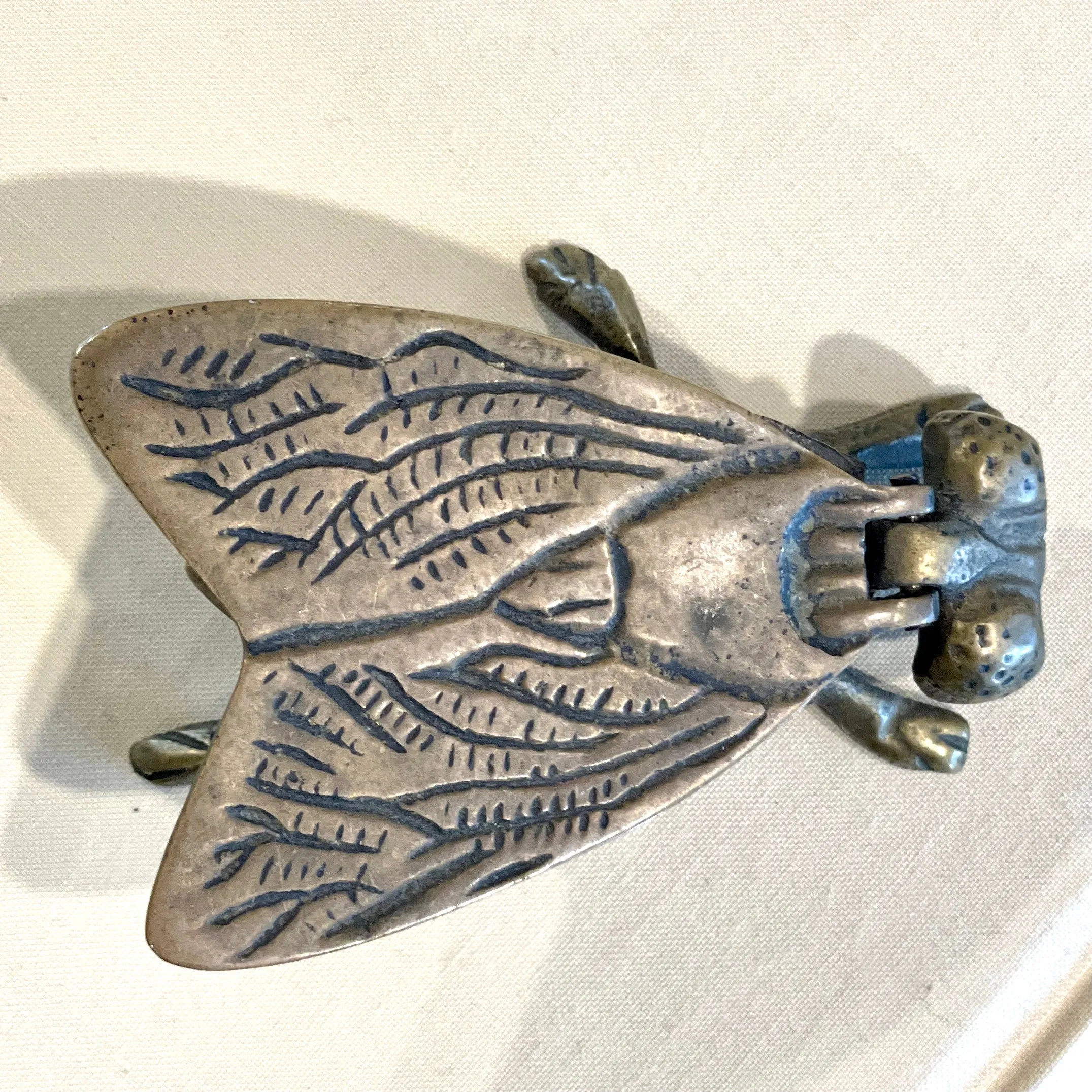 Vintage French Brass Insect Box