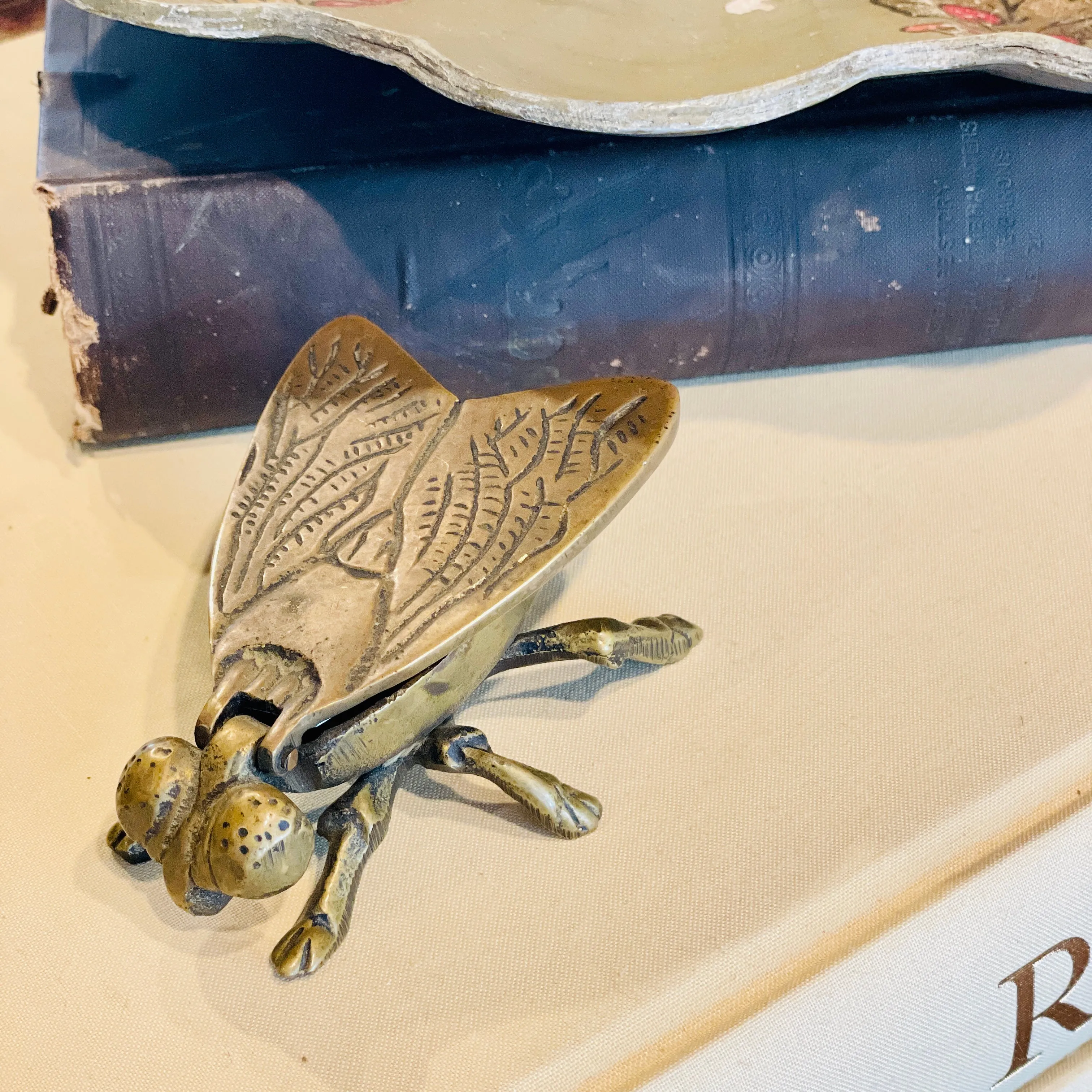 Vintage French Brass Insect Box
