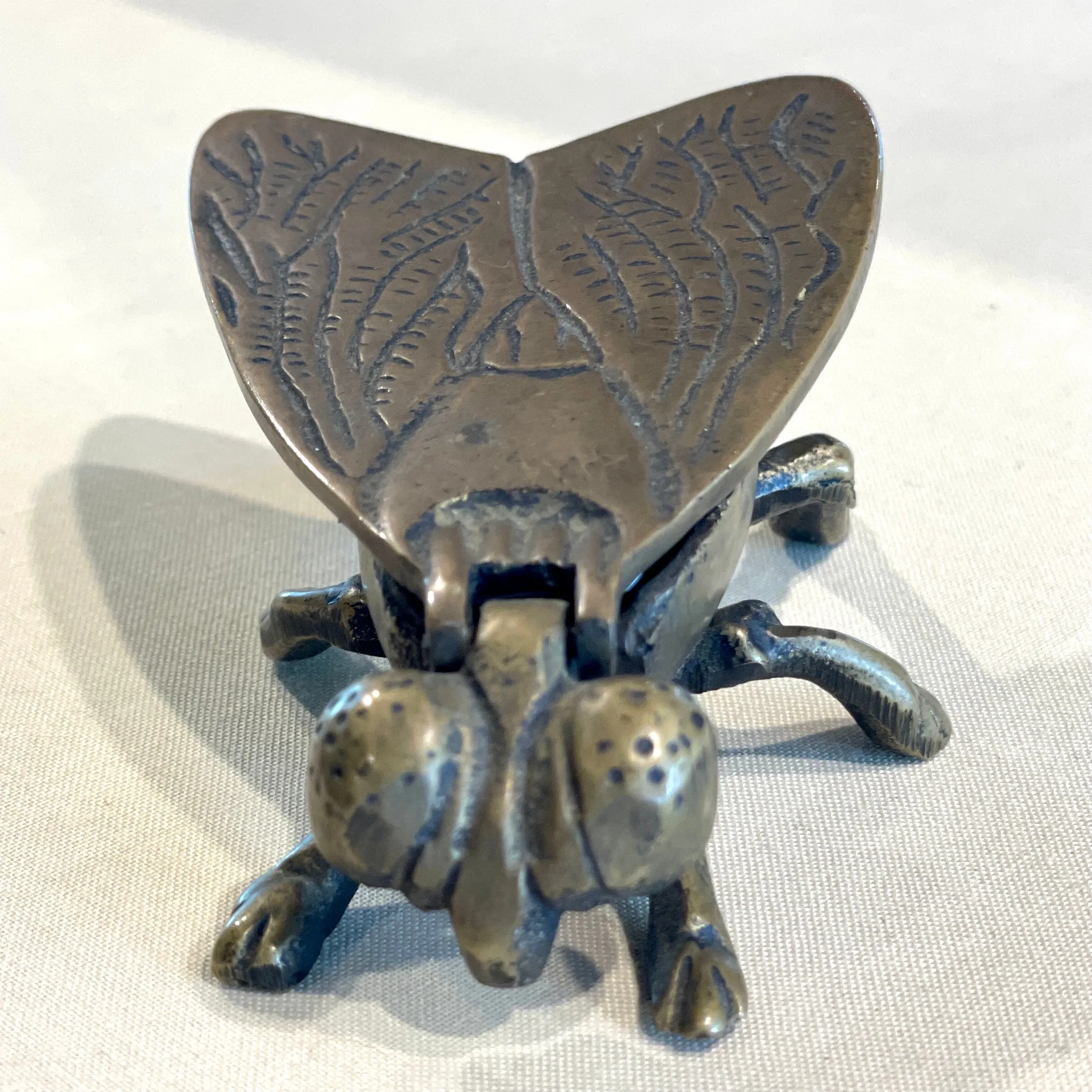 Vintage French Brass Insect Box
