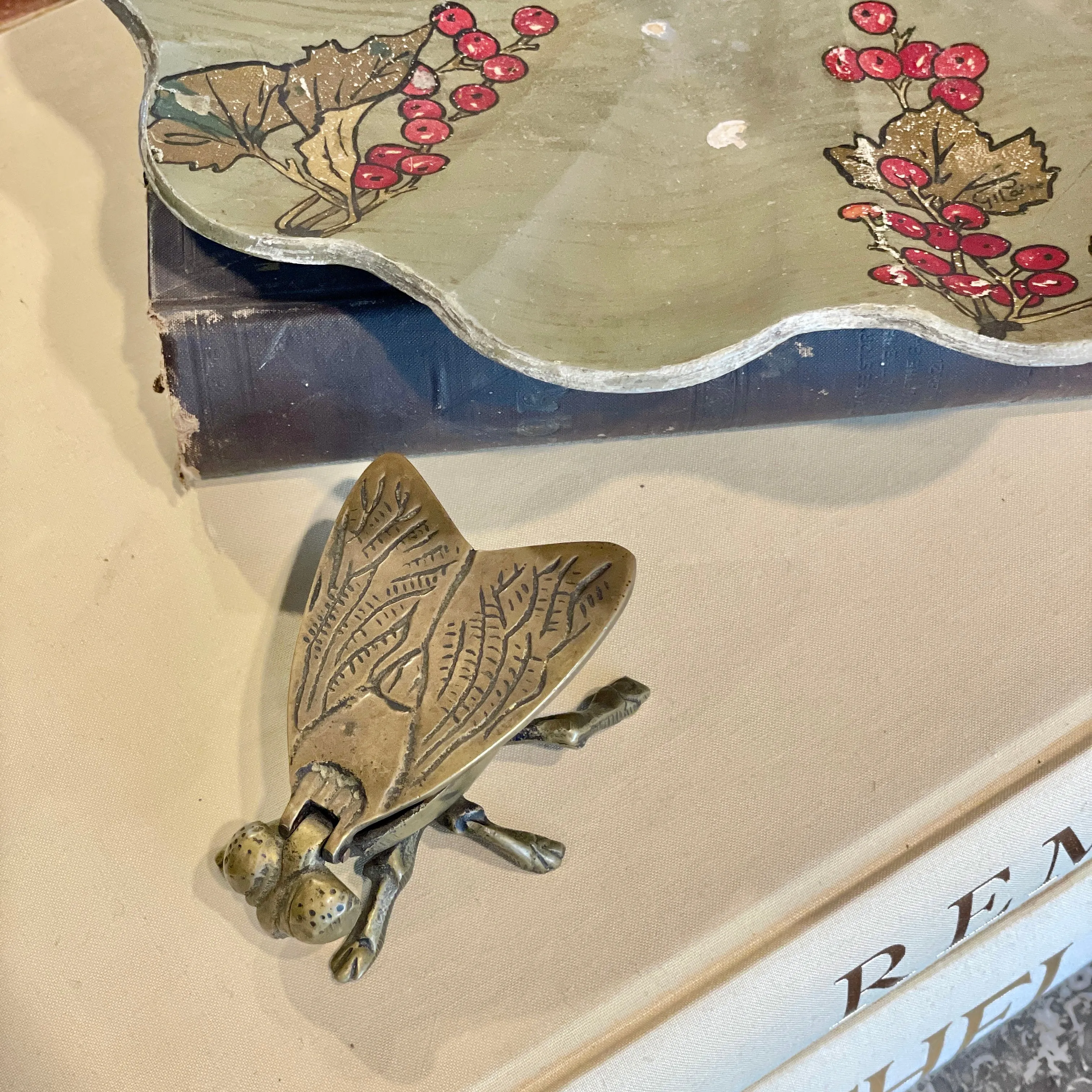 Vintage French Brass Insect Box
